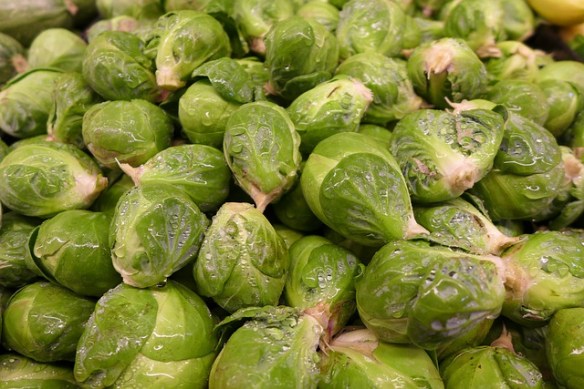 brussel-sprouts-92240_640