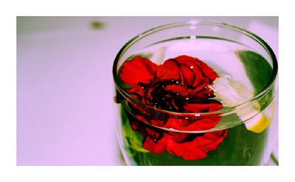 50262018_524e21b23b_z